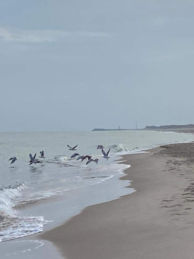 Magnolia Nocleg ze śniadaniem